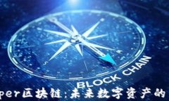 深入解析Zipper区块链：未来数字资产的网络解决