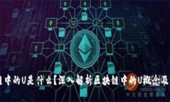 区块链中的U是什么？深入解析区块链中的U概念及