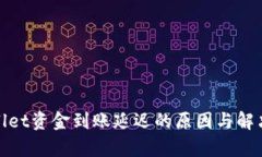 tpwallet资金到账延迟的原因与解决方案