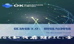 TPWallet如何存储FIL：全面指南