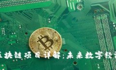 HNBCore区块链项目详解：未来数字经济的新机遇