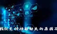 ：tpwallet指纹支付功能缺失的原因及解决方案