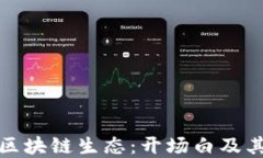 深入理解区块链生态：开场白及其核心概念