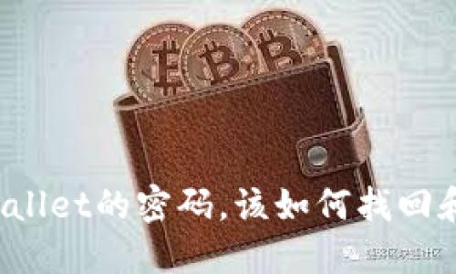 如果只记得TPWallet的密码,该如何找回和保护我的资产?