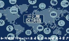   如何通过TPWallet查看自己的加密货币资产