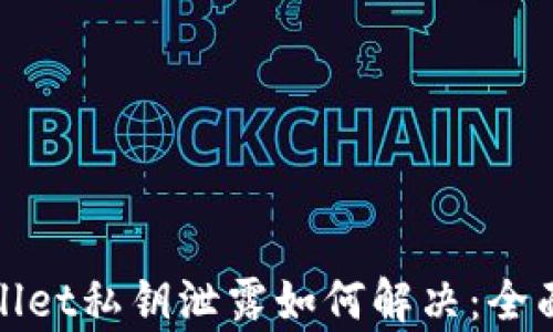 
tpwallet私钥泄露如何解决：全面指南