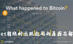 TPWallet转账时出现乱码的原因及解决方案