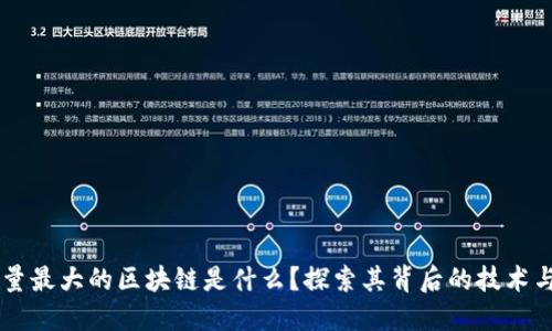 交易量最大的区块链是什么?探索其背后的技术与应用