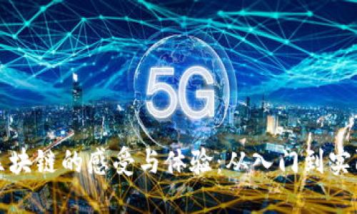 搭建区块链的感受与体验:从入门到实际应用