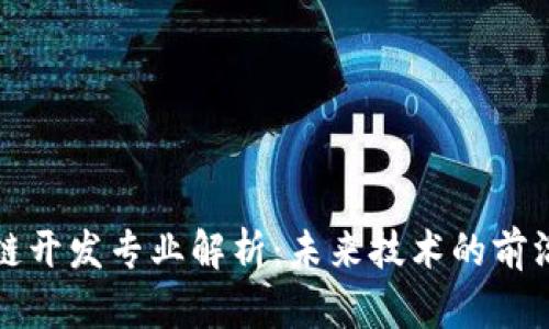 区块链开发专业解析:未来技术的前沿领域