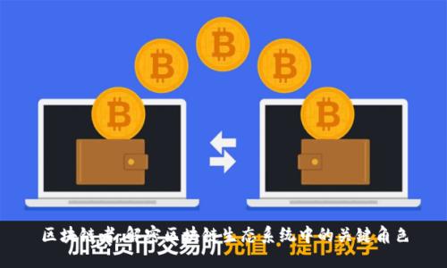 区块链者：解密区块链生态系统中的关键角色